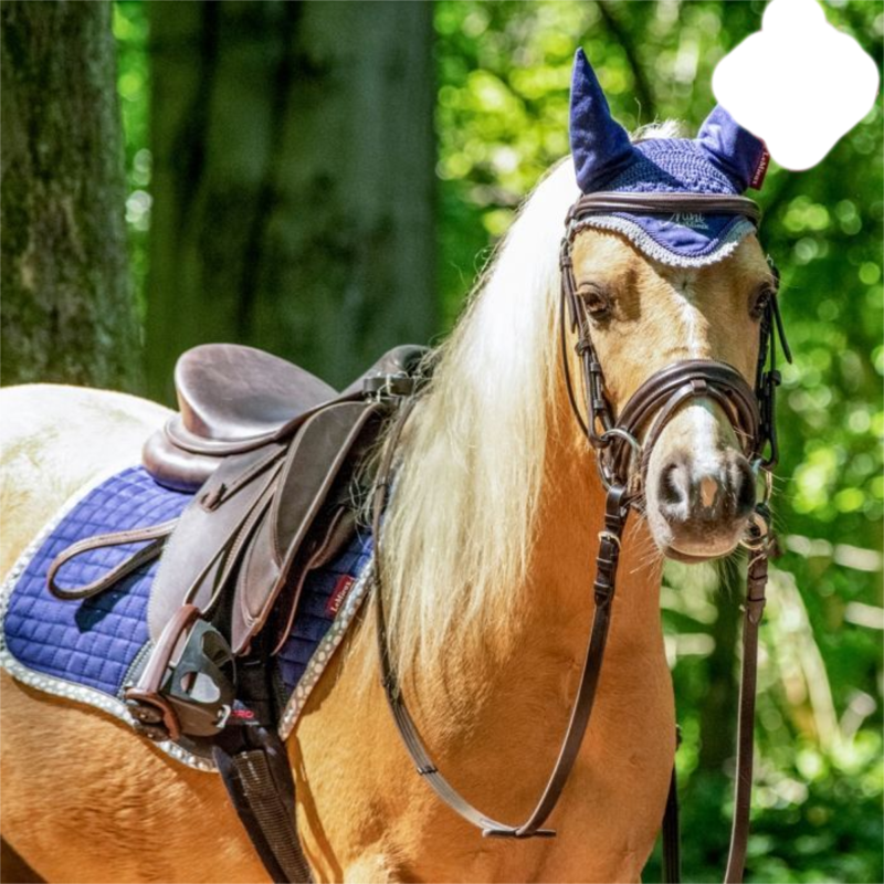 Mini LeMieux Fly Hood - Ink Blue-1